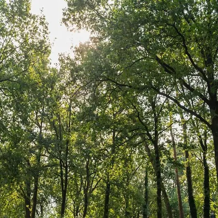 Дом отдыха Nature Escape W Garden, Cleaning Included Хундерло
